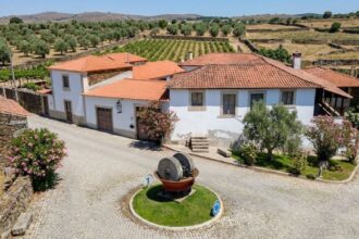 As Maiores Herdades de Portugal: Um Património de Terra, Vinho e Identidade