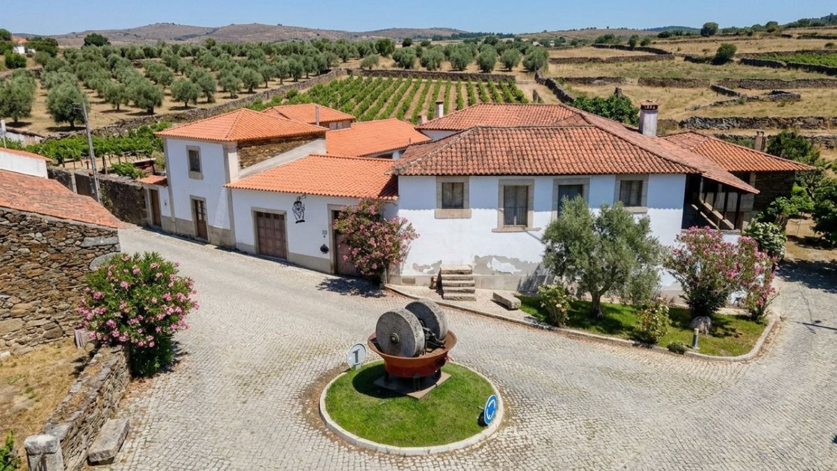As Maiores Herdades de Portugal: Um Património de Terra, Vinho e Identidade