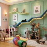 Hotel para Gatos preço em Portugal - Guia Completo com Preços e Serviços